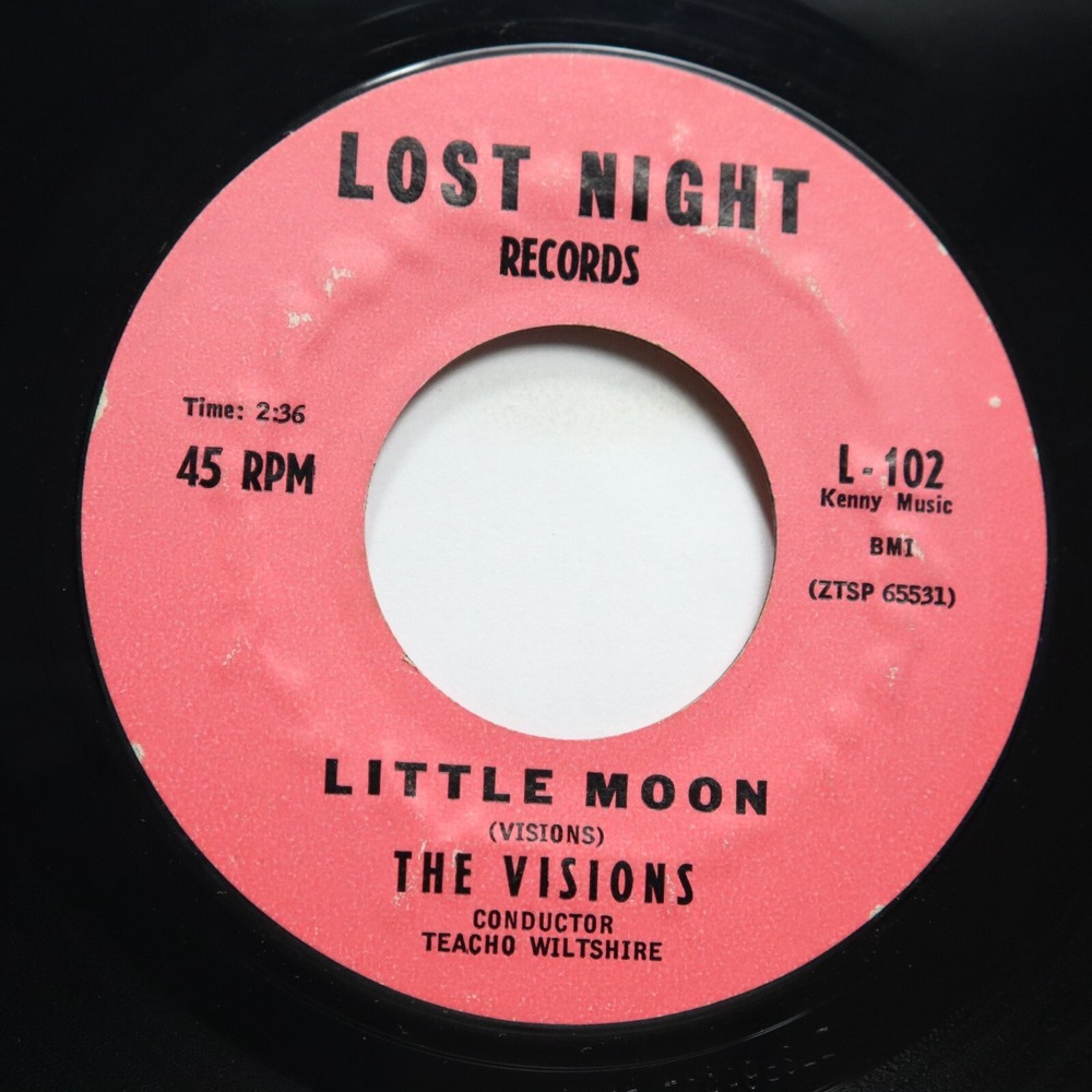 THE VISIONS - LITTLE MOON / TEENAGER'S LIFE - DOO WOP 45